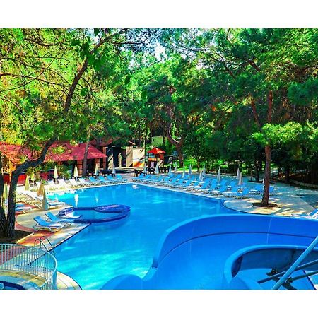 קמר Festival Nature Hotel מראה חיצוני תמונה
