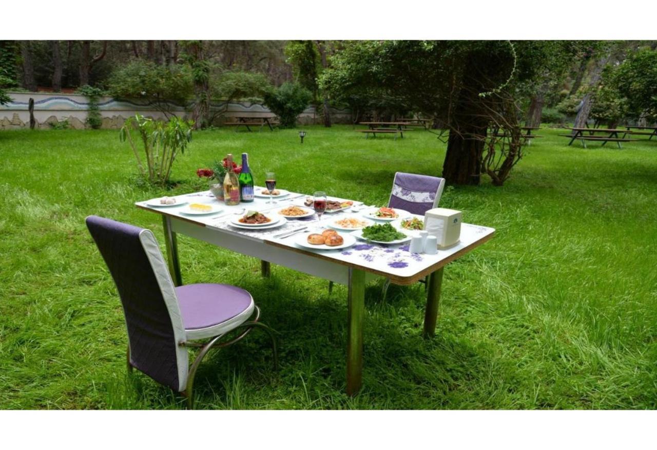 קמר Festival Nature Hotel מראה חיצוני תמונה