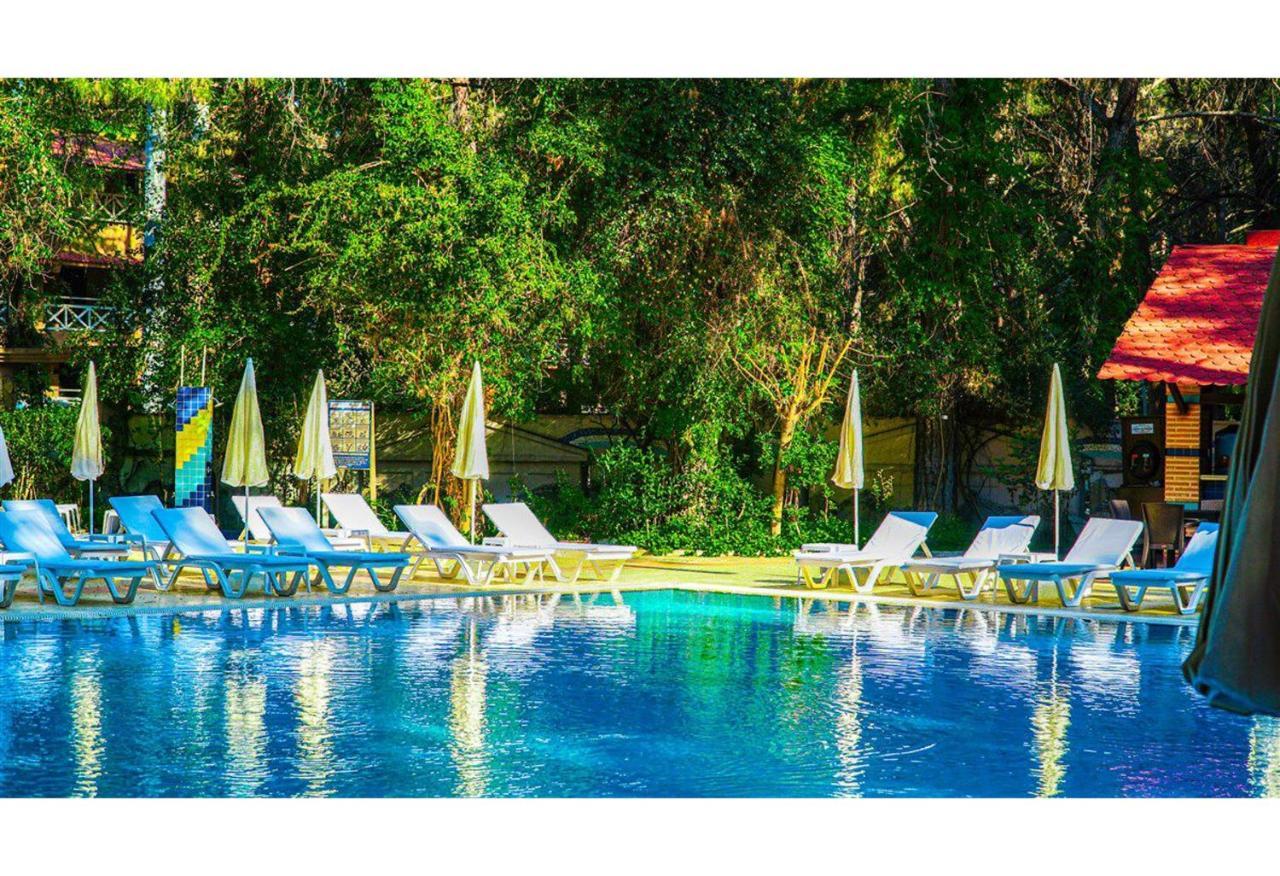 קמר Festival Nature Hotel מראה חיצוני תמונה