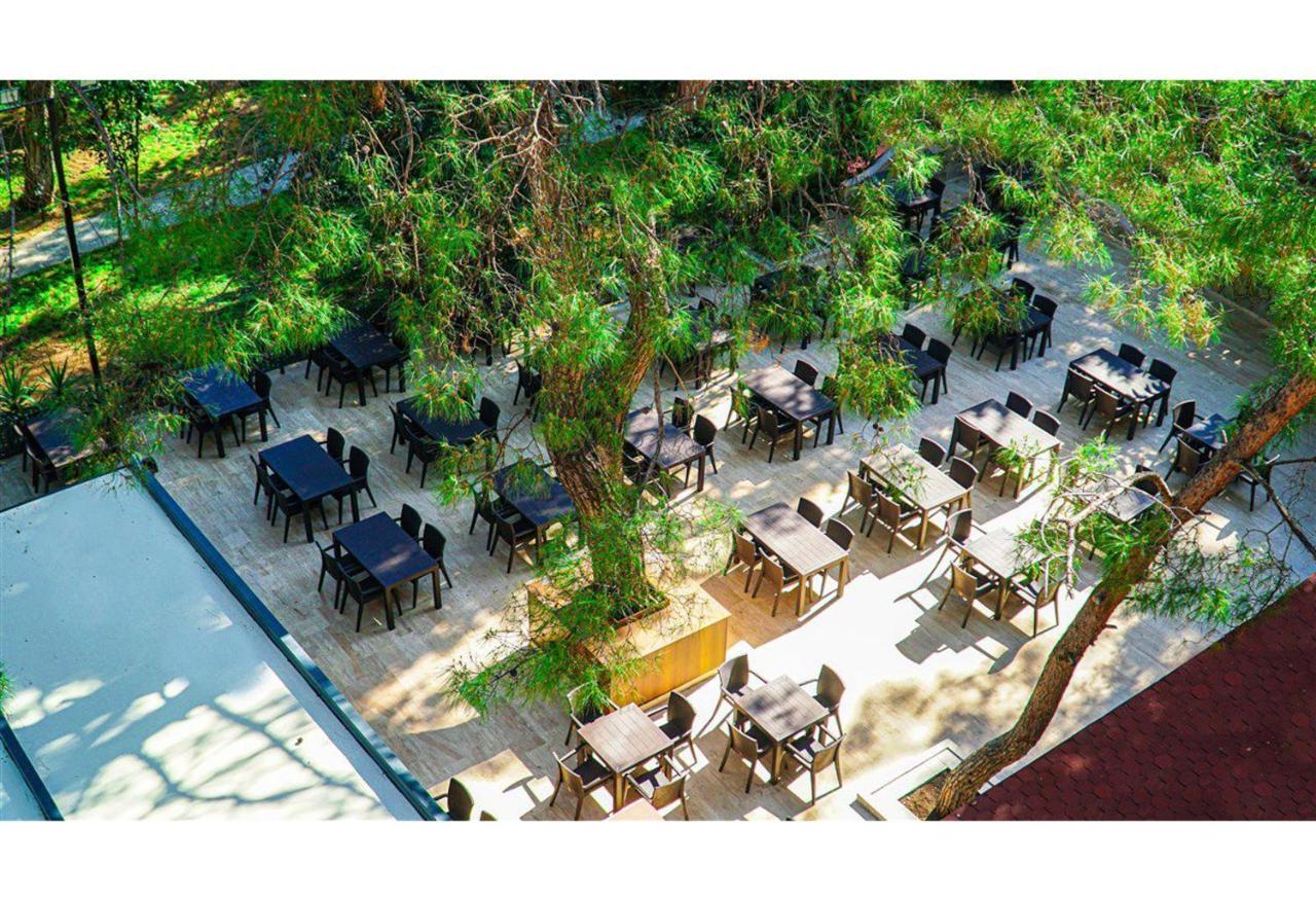 קמר Festival Nature Hotel מראה חיצוני תמונה