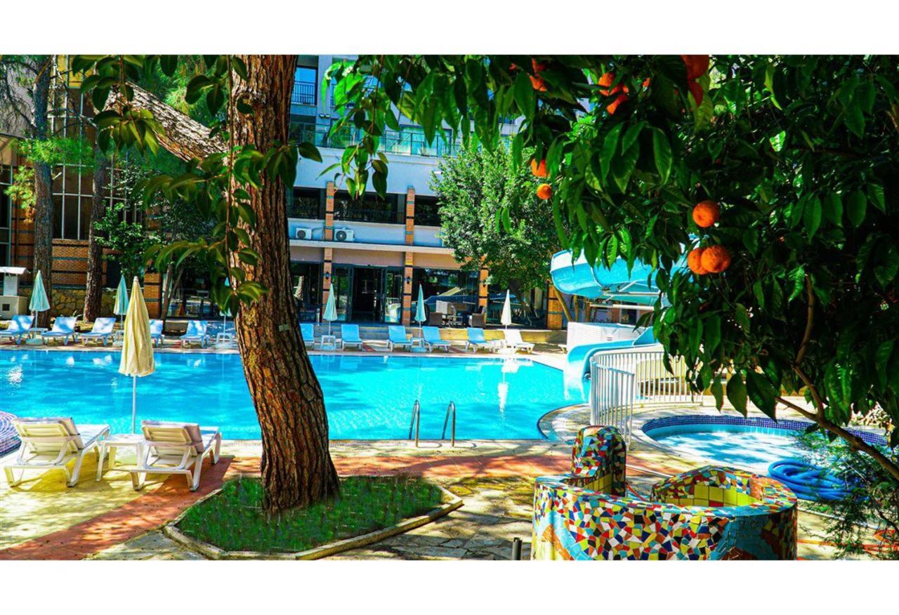 קמר Festival Nature Hotel מראה חיצוני תמונה