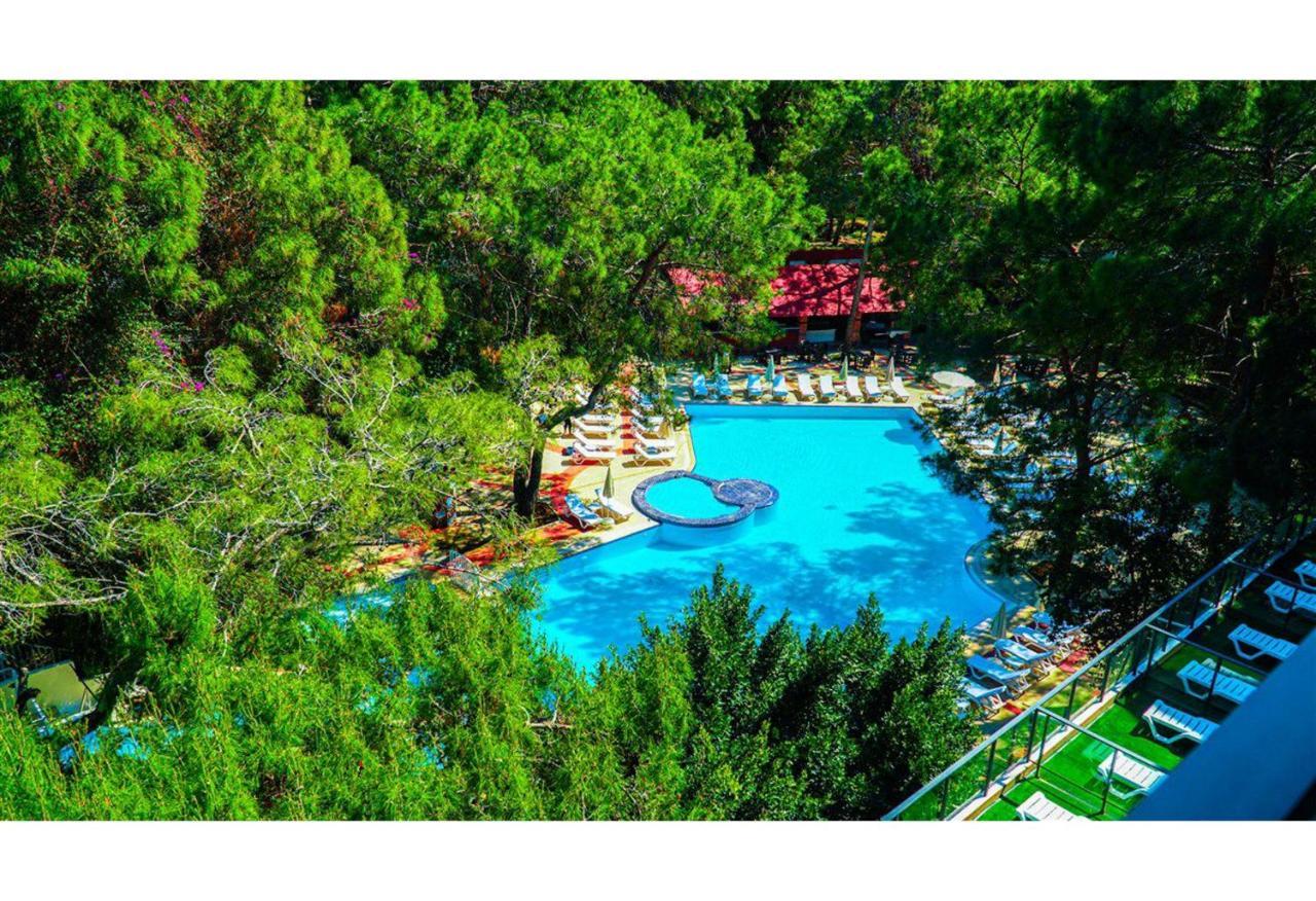 קמר Festival Nature Hotel מראה חיצוני תמונה