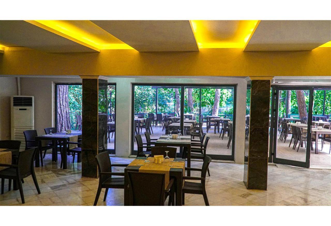 קמר Festival Nature Hotel מראה חיצוני תמונה