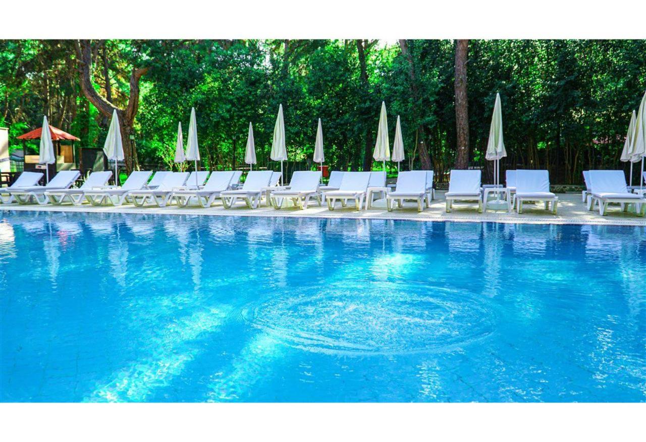 קמר Festival Nature Hotel מראה חיצוני תמונה